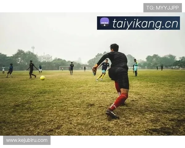 深入解析开云体育abb的技术创新与应用